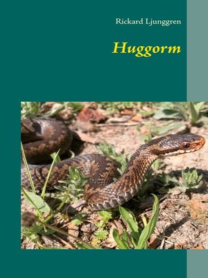 cover image of Huggorm